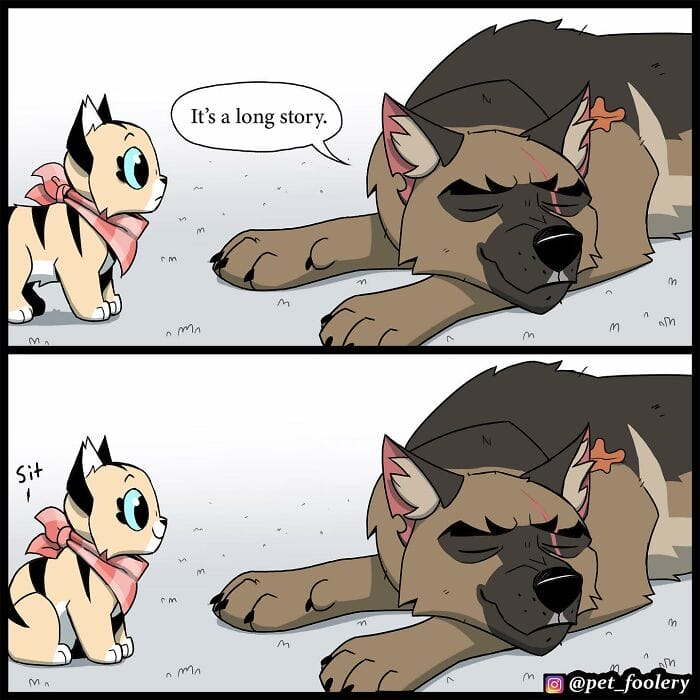 89 5 Best Pixie And Brutus Comics Never Fails to Amuse Fans With Heartwarming Stories