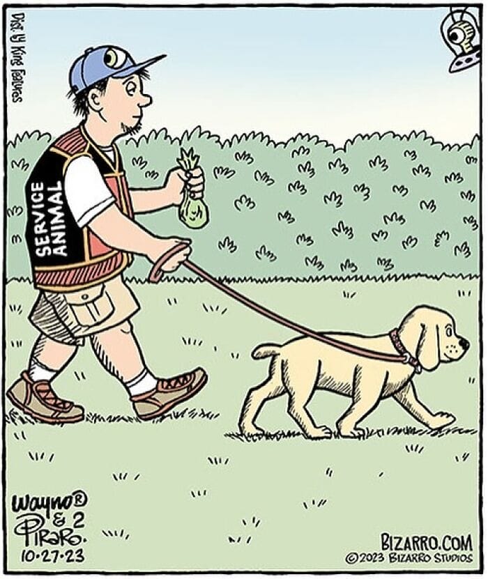 9-3 15+ Bizarro Comics Feature Surreal humor That Depicts Situations