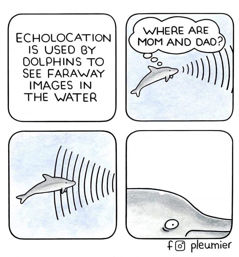 9-4 20 Animal Pleumier Comics: by a Montreal-Based Biologist That Will Make Your Mood