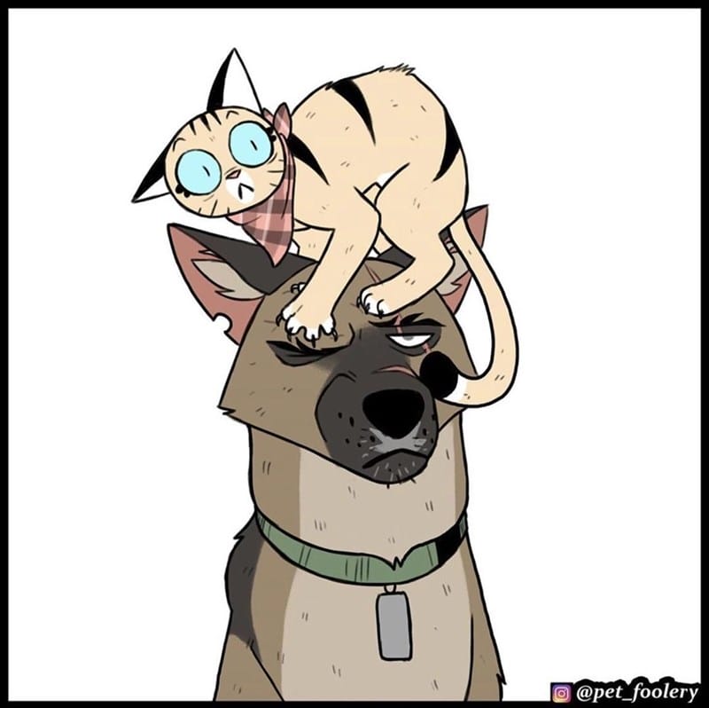 9-6 20 Hilarious Pet Foolery Drawings That Capture the Funny and Quirky Side of Pets