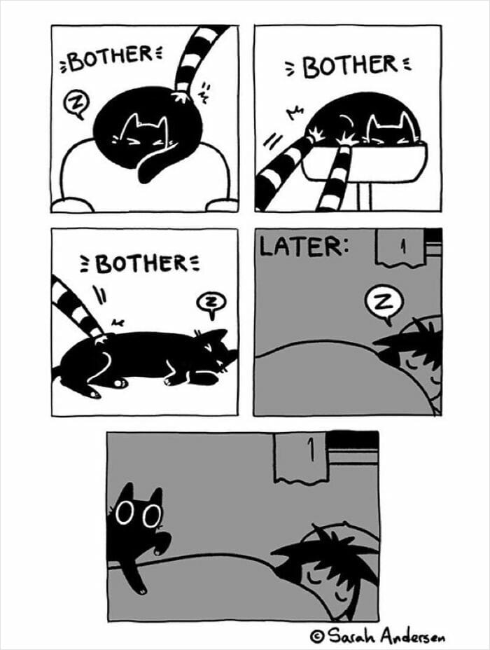 9-94 20 Hilarious Comics By Sarah Andersen That Perfectly Capture The Quirky Differences Between Cats And Dogs