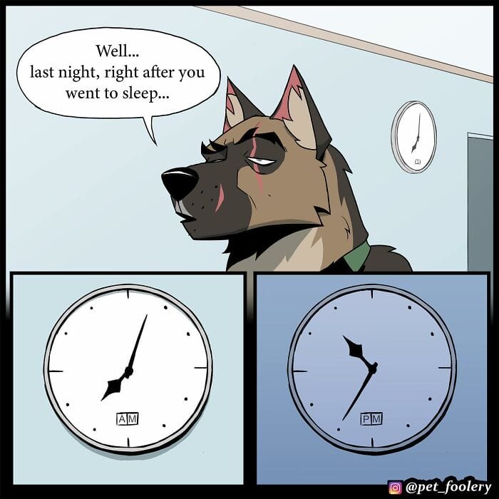 90 5 Best Pixie And Brutus Comics Never Fails to Amuse Fans With Heartwarming Stories