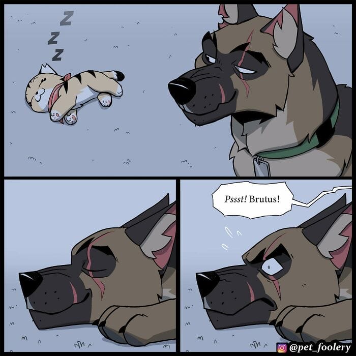 91 5 Best Pixie And Brutus Comics Never Fails to Amuse Fans With Heartwarming Stories