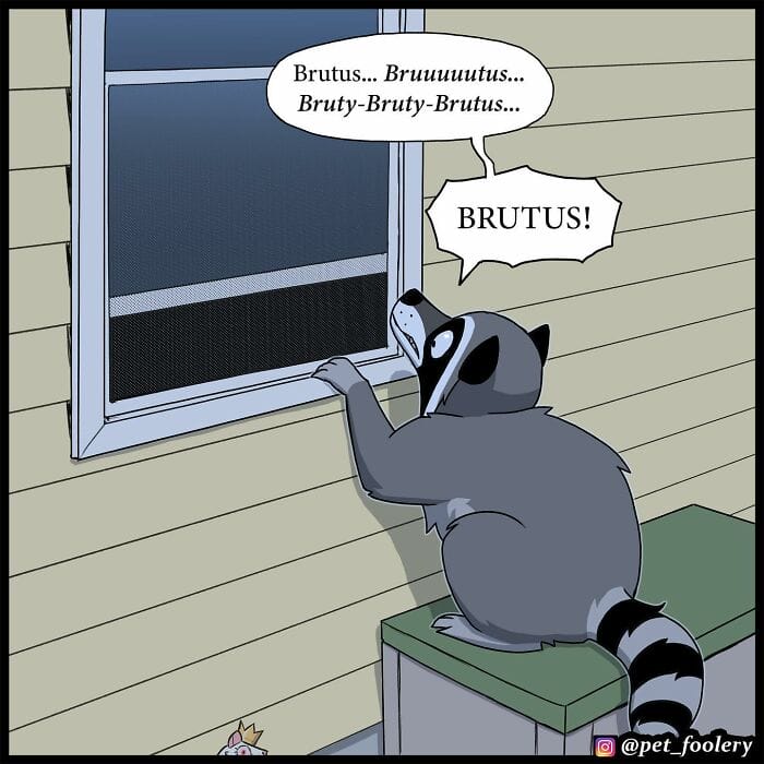 92 5 Best Pixie And Brutus Comics Never Fails to Amuse Fans With Heartwarming Stories