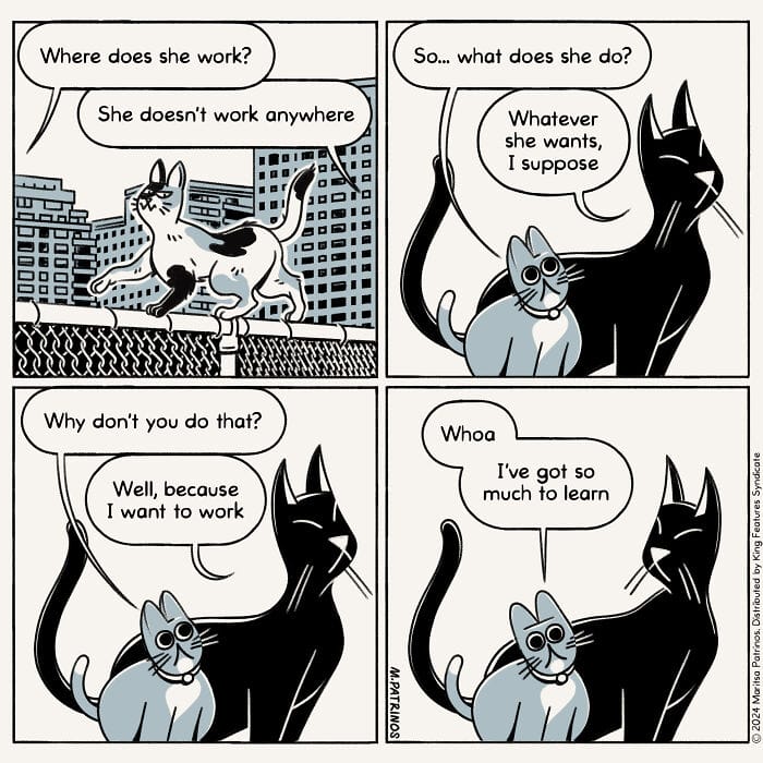 15-17 20 Hilarious New Comics by Maritsa Patrinos Absurd Life Moments and Cat Humor (New Pics)