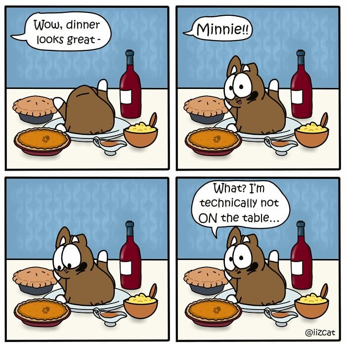 2-16 20 Funny New Comics by Nick Filippou That Capture the Essence of Life With a Cat