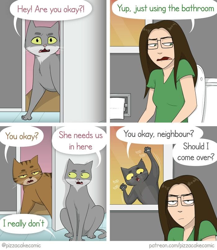 3-19 20 Hilarious 'PizzaCake' Comics Guaranteed to Make You Smile (New Updates)