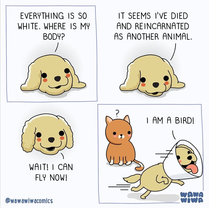 8-8 20 New Wawawiwa Comics Full of Cute Characters to Make Your Day
