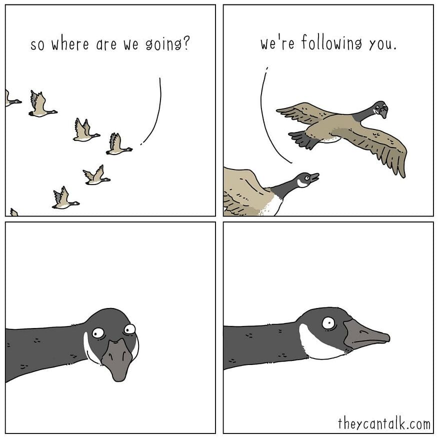 3-3 Jimmy Craig Returns with 20 Hilarious New ‘They Can Talk’ Animal Comics