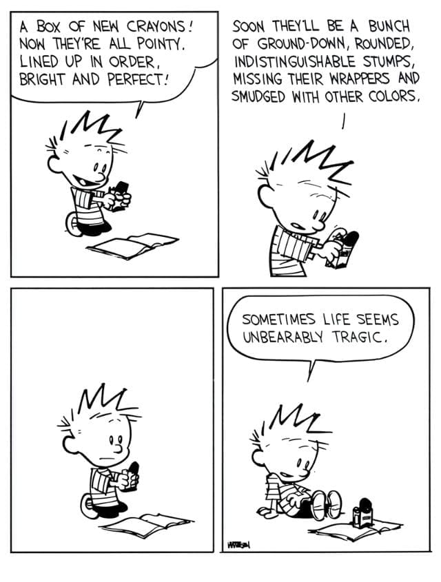 1-106 20 Popular Comics from Calvin and Hobbes That Mix Deep Thoughts with Big Laughs