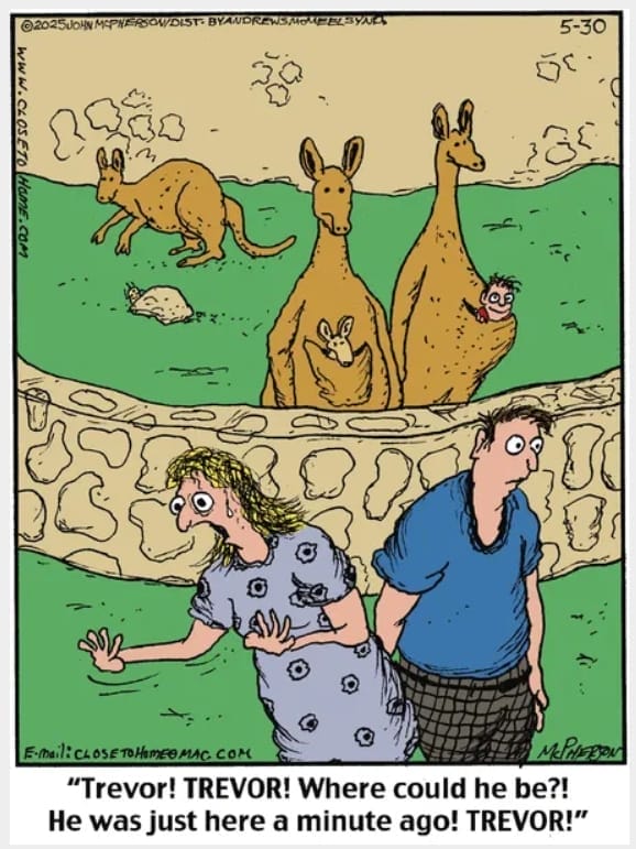 1-108 20 Popular Cartoons by John McPherson That Deserve a Spot in Your Favorites