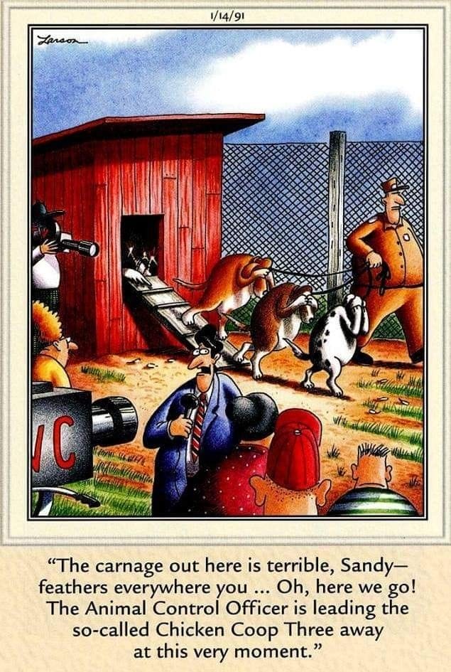 10-44 20 Best Far Side Comics That Still Hilariously Hold Up Today