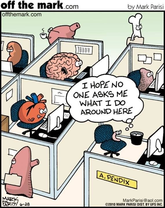 10-59 20 Hilarious Off the Mark Comics for Your Daily Dose of Humor