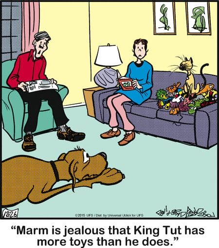 11-69 20 Wholesome and Hilarious Dog Comics by Brad Anderson You Can’t Miss
