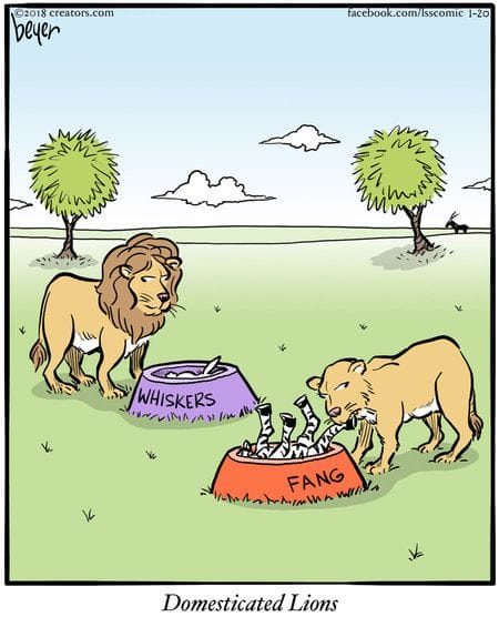 12-62 20 Absurdist Humor Comics by Daniel Beyer You Can’t Unsee