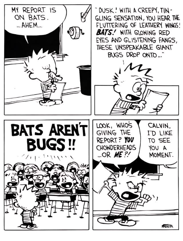 12-84 20 Popular Comics from Calvin and Hobbes That Mix Deep Thoughts with Big Laughs