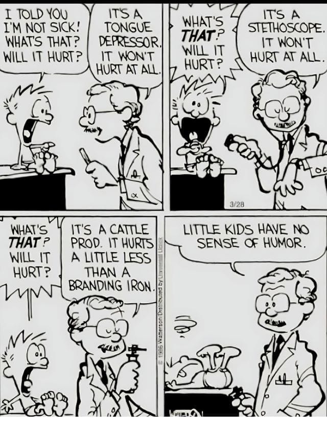13-83 20 Popular Comics from Calvin and Hobbes That Mix Deep Thoughts with Big Laughs
