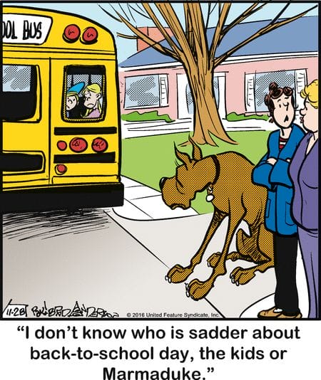 14-68 20 Wholesome and Hilarious Dog Comics by Brad Anderson You Can’t Miss