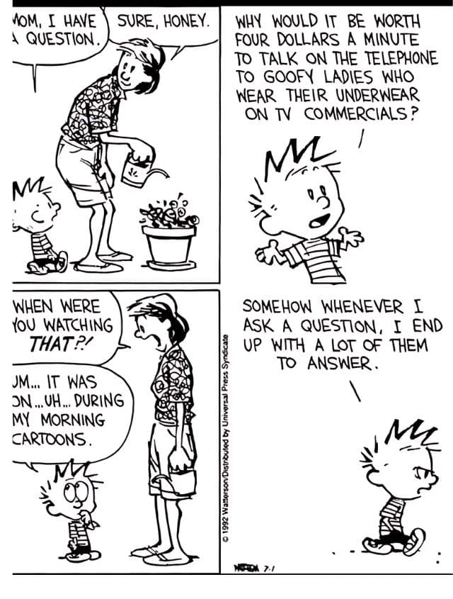 15-83 20 Popular Comics from Calvin and Hobbes That Mix Deep Thoughts with Big Laughs
