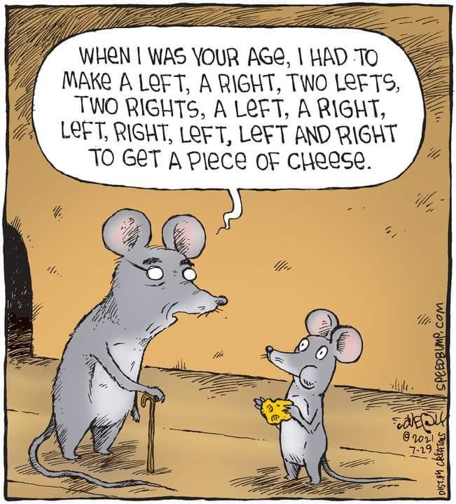 16-42 20 Relatable life cartoons by Dave Coverly That Nail Everyday Absurdity