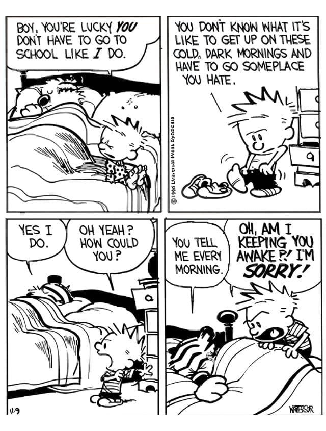 17-81 20 Popular Comics from Calvin and Hobbes That Mix Deep Thoughts with Big Laughs