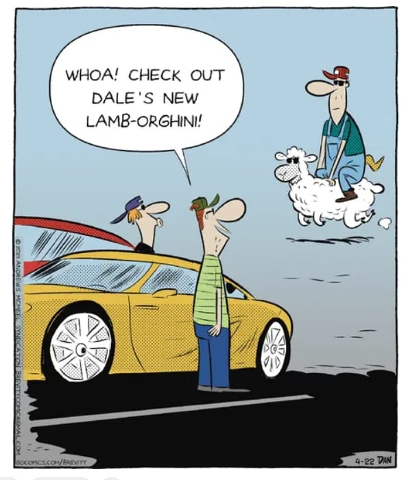 17-9 20 Hilarious Pun Cartoons by Dan Thompson You’ll Absolutely Love