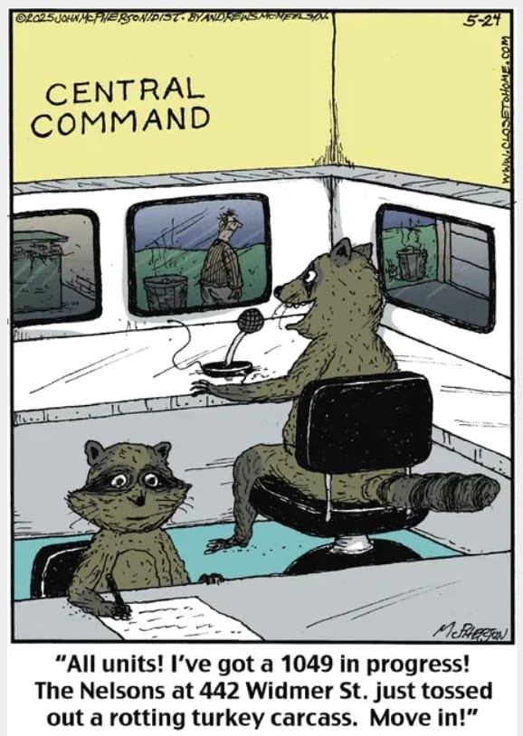 18-83 20 Popular Cartoons by John McPherson That Deserve a Spot in Your Favorites