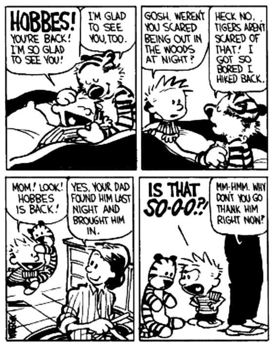 19-32 20 Hilarious Calvin and Hobbes Cartoons Every Fan Needs to See Again
