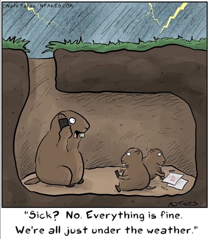 3-20 20 Hilarious One-Panel New Dark Humor Comics by Nate Fakes