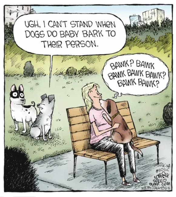 4-10 20 Hilarious Speed Bump Comics by Dave Coverly Packed with Wit