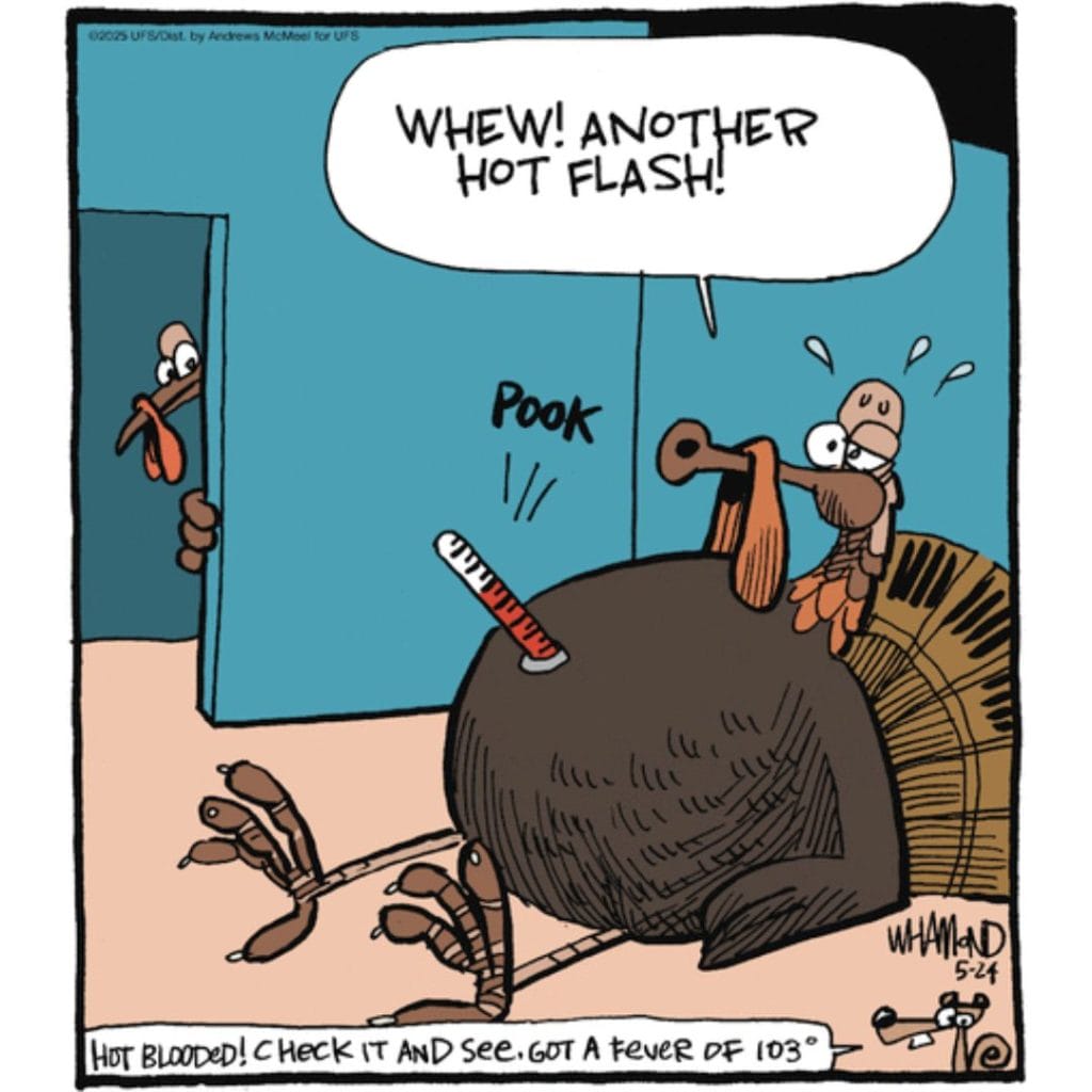 4-97-1024x1024 20 Best Witty Humor Cartoons That’ll Boost Your Mood in Seconds
