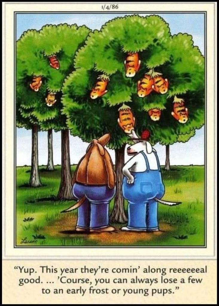 4-98-732x1024 20 Classic Dark Humor Cartoons by Gary Larson That Go Too Far In the Best Way