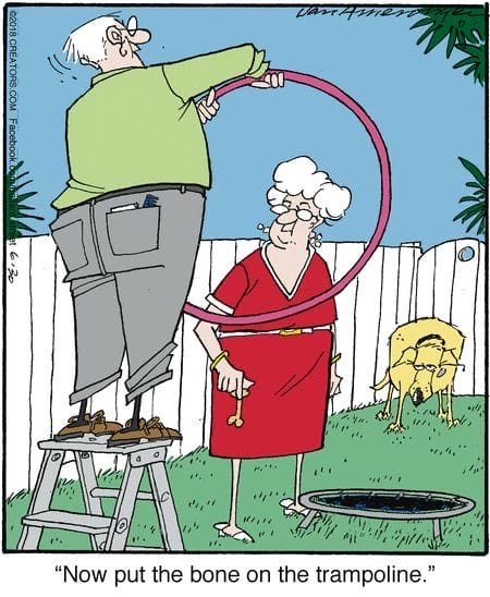 5-74 20 Absurd Comics Humor Gems from Ballard Street You Need to See