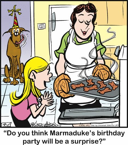 5-87 20 Wholesome and Hilarious Dog Comics by Brad Anderson You Can’t Miss