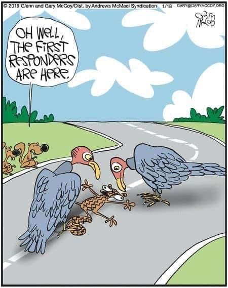 6-75 20 Absurd humor cartoons That Prove Glenn and Gary McCoy Are Humor Geniuses