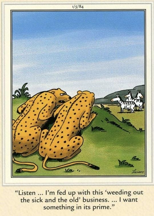 7-100 20 Classic Dark Humor Cartoons by Gary Larson That Go Too Far In the Best Way