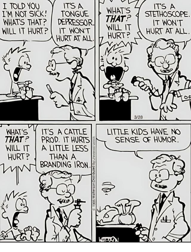 7-103 20 Popular Comics from Calvin and Hobbes That Mix Deep Thoughts with Big Laughs