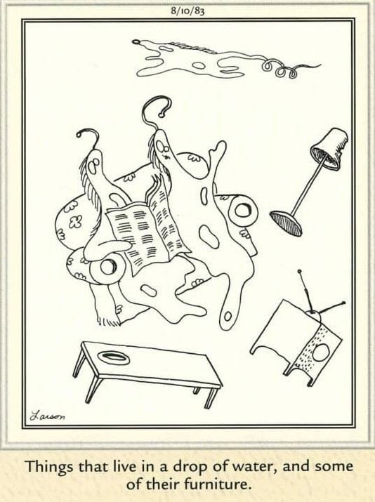 7-72 20 Best of The Far Side Comics That Prove Gary Larson Is Still the King of Weird