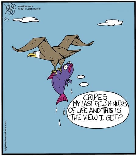 7 10 Hilarious Funny Cartoons by Leigh Rubin That’ll Brighten Your Day Instantly