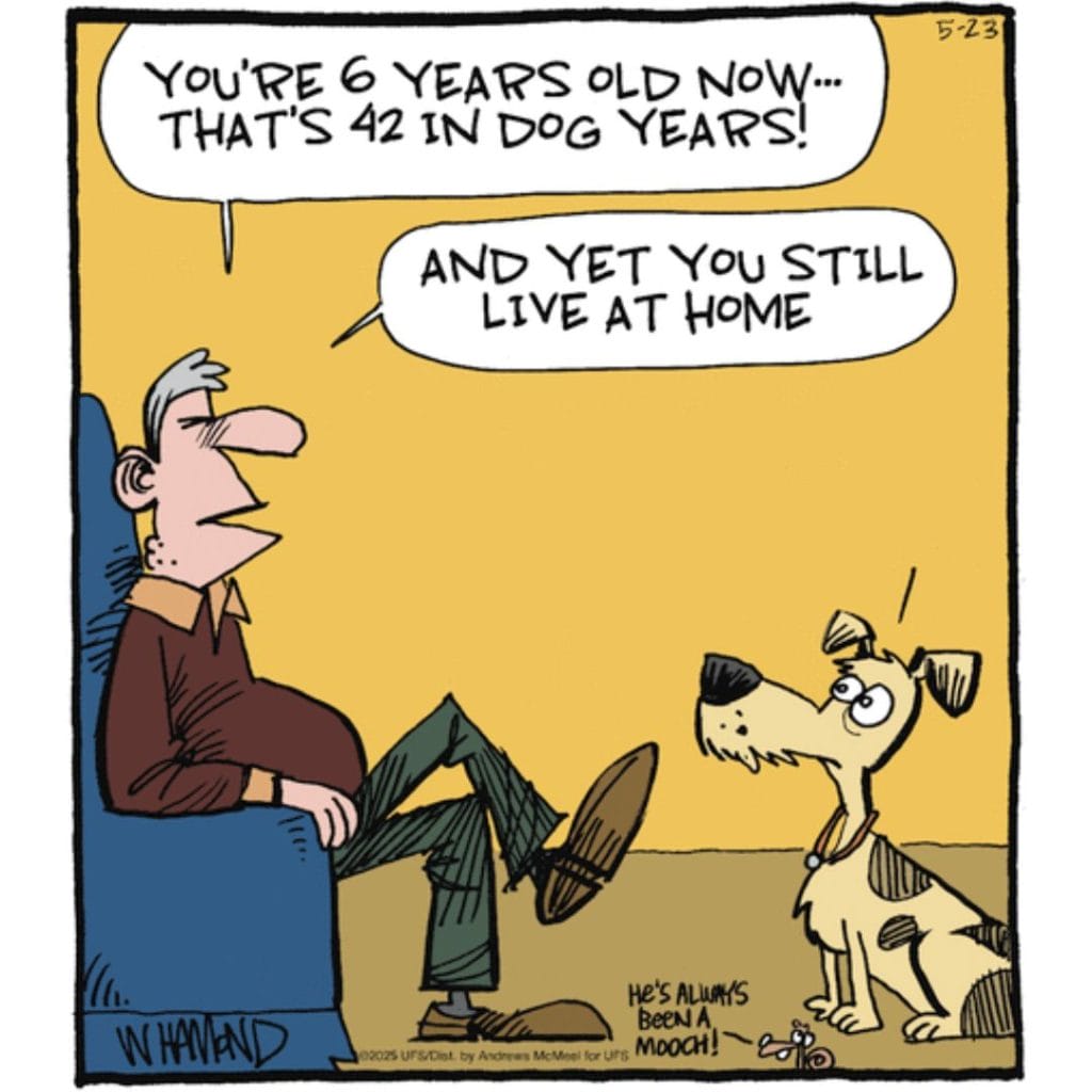 8-100-1024x1024 20 Best Witty Humor Cartoons That’ll Boost Your Mood in Seconds