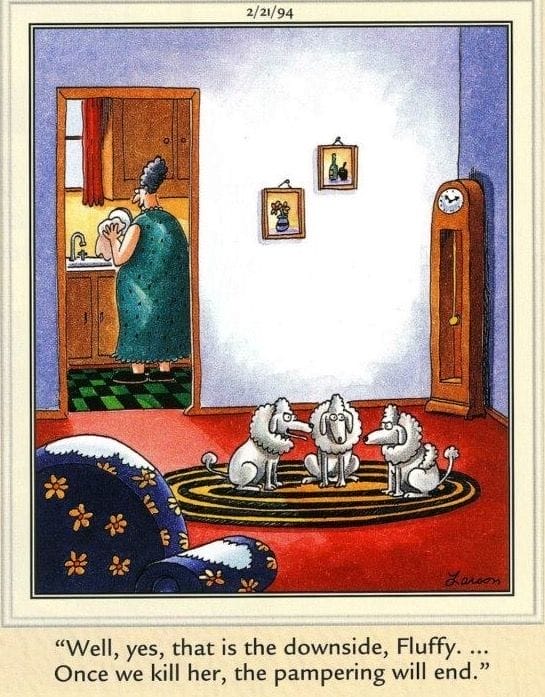 8-101 20 Classic Dark Humor Cartoons by Gary Larson That Go Too Far In the Best Way