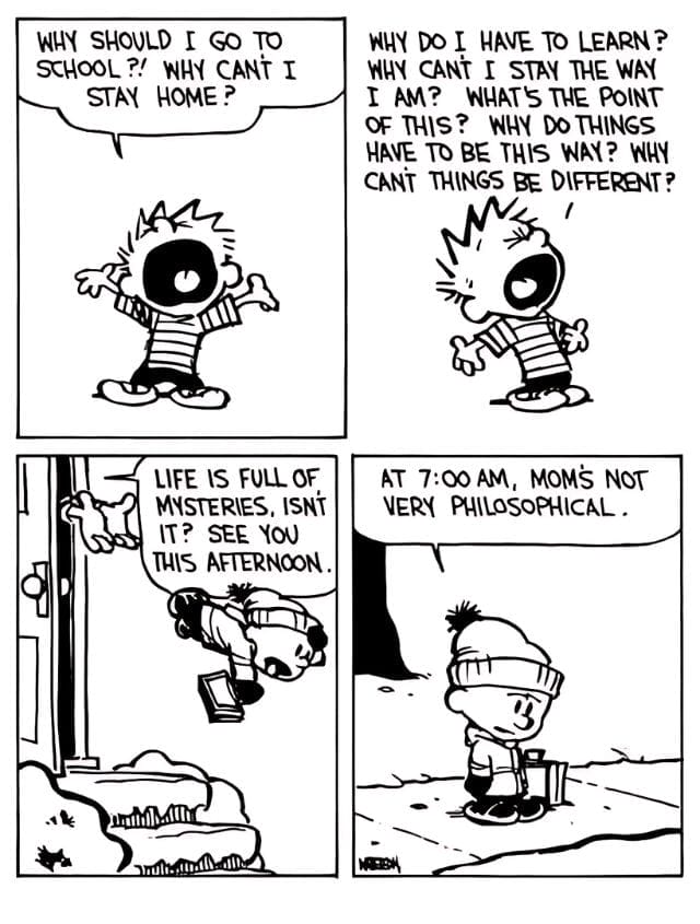 8-104 20 Popular Comics from Calvin and Hobbes That Mix Deep Thoughts with Big Laughs