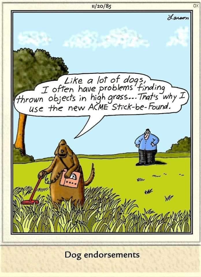 8-18 20 Hilarious Daily Humor Comics by Gary Larson That Still Hold Up Today