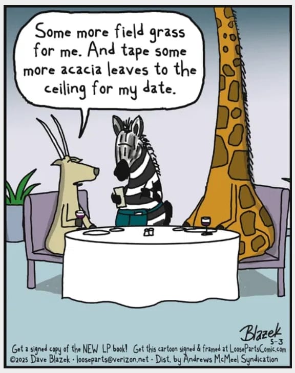 8-44 20 Hilarious Loose Parts Comics That Nail Everyday Humor