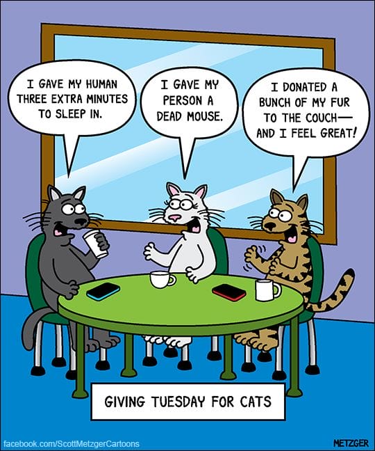 8-81 20 Funny Cat Cartoons by Scott Metzger That Totally Get Cat Life