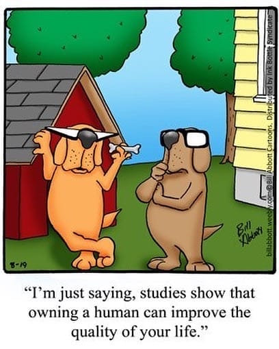 9-106 20 Hilarious Daily Funny Cartoons by Bill Abbott, That’ll Put You in a Great Mood