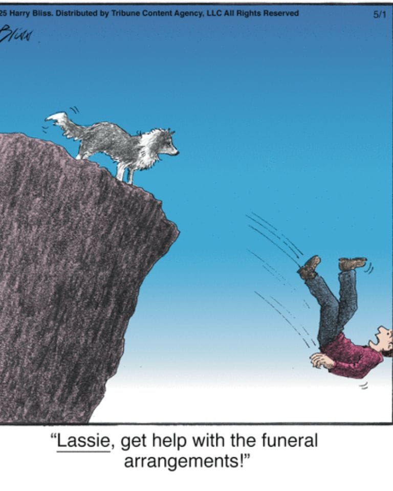 9-25 10 Hilarious Dogs Comics by Harry Bliss That Pet Owners Will Love and Relate To