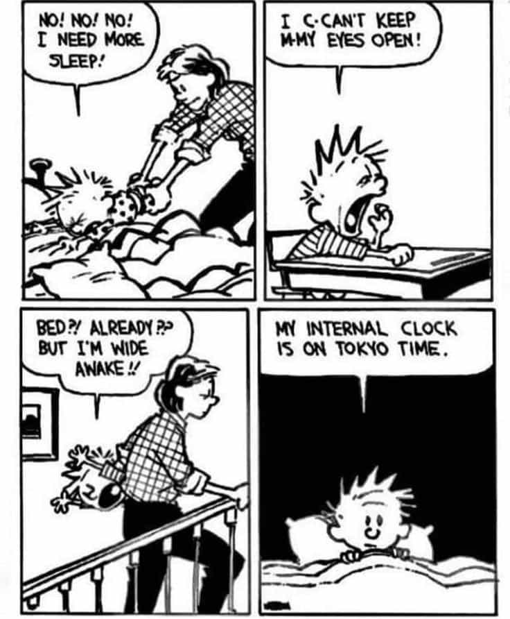 9-56 20 Hilarious Calvin and Hobbes Cartoons Every Fan Needs to See Again