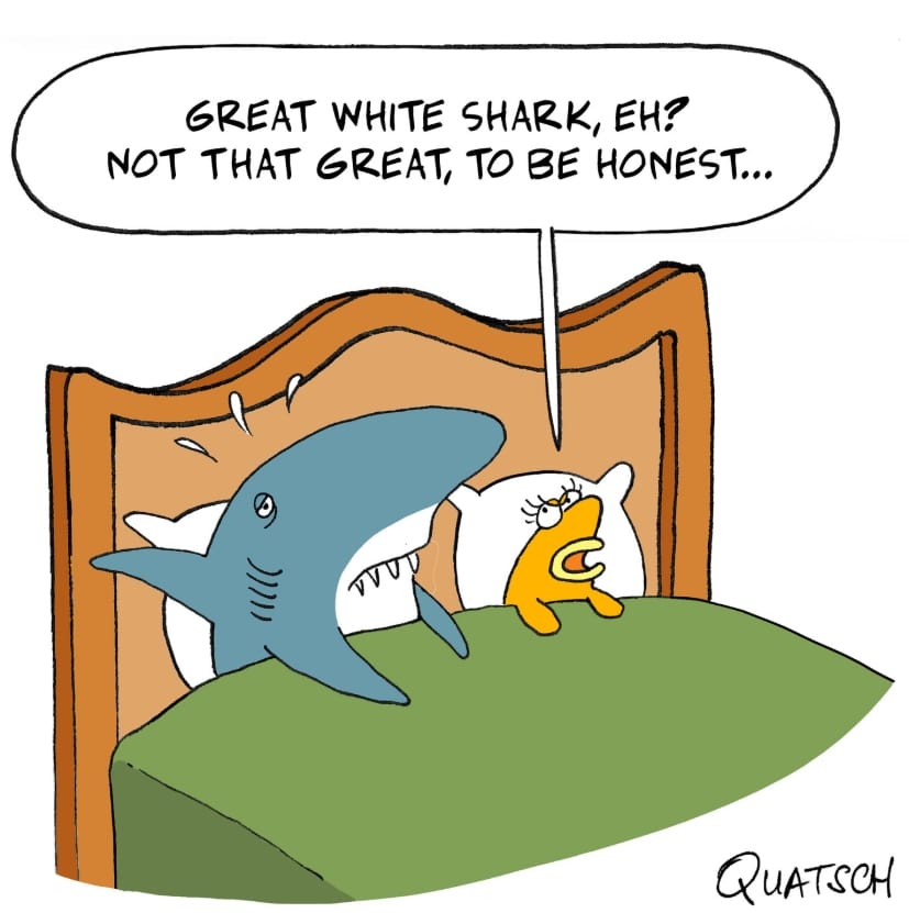 9-78 20 of the Best Cartoons by Quatsch Cartoons That Are Just Too Relatable