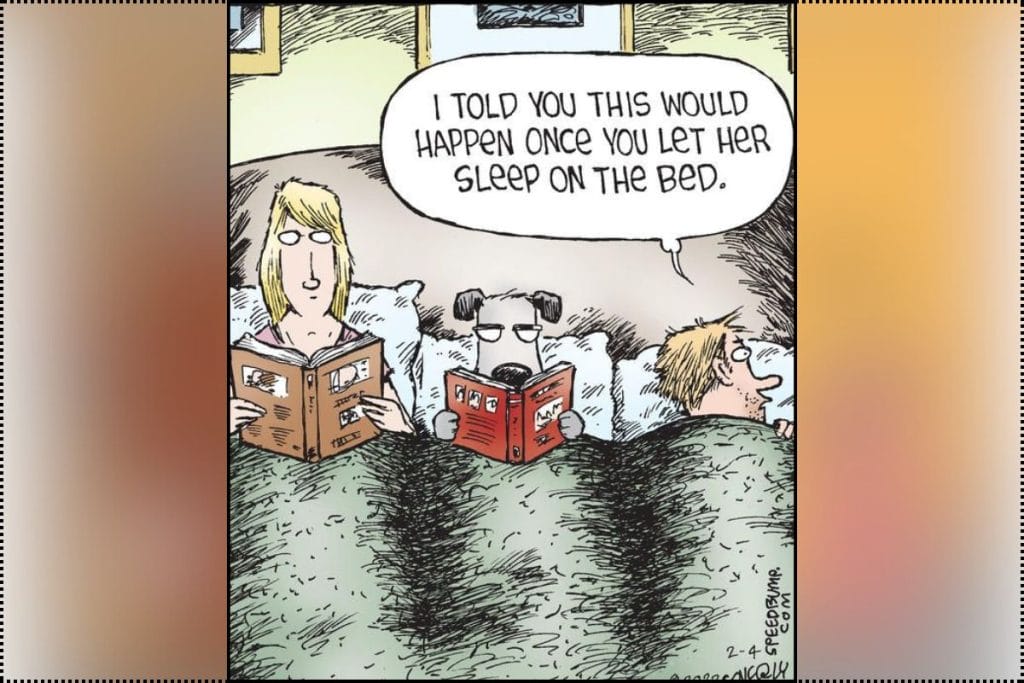 Speed Bump Comics